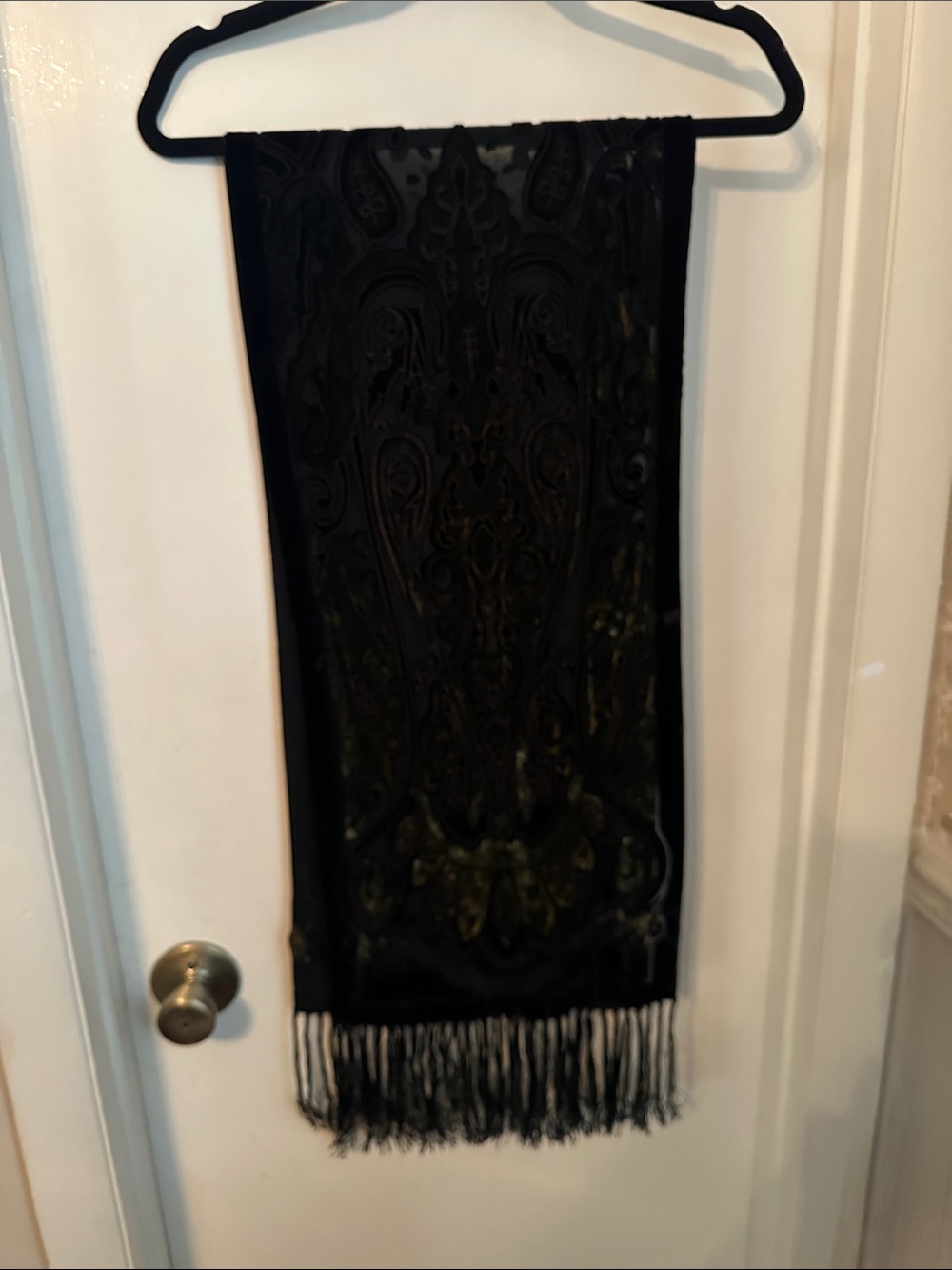 Black Velvet Fringed Scarf NWOT